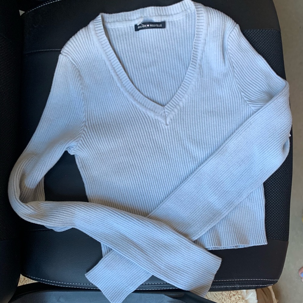 Brandy Melville baby blue ribbed cropped sweater